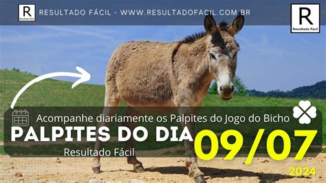 palpites do dia bicho certo